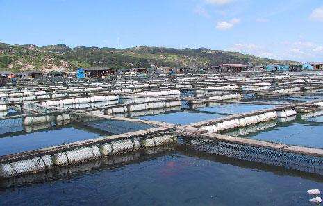 德瑞亞空壓機(jī)助力淡水養(yǎng)殖，營造和諧水產(chǎn)市場(chǎng)